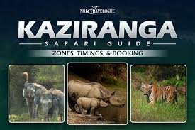 Kaziranga Tourism